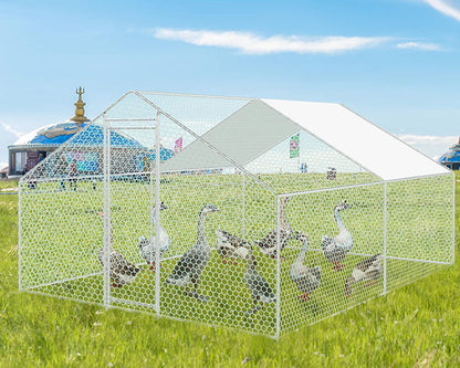 Outdoor Chicken Coop 4Mx3M
