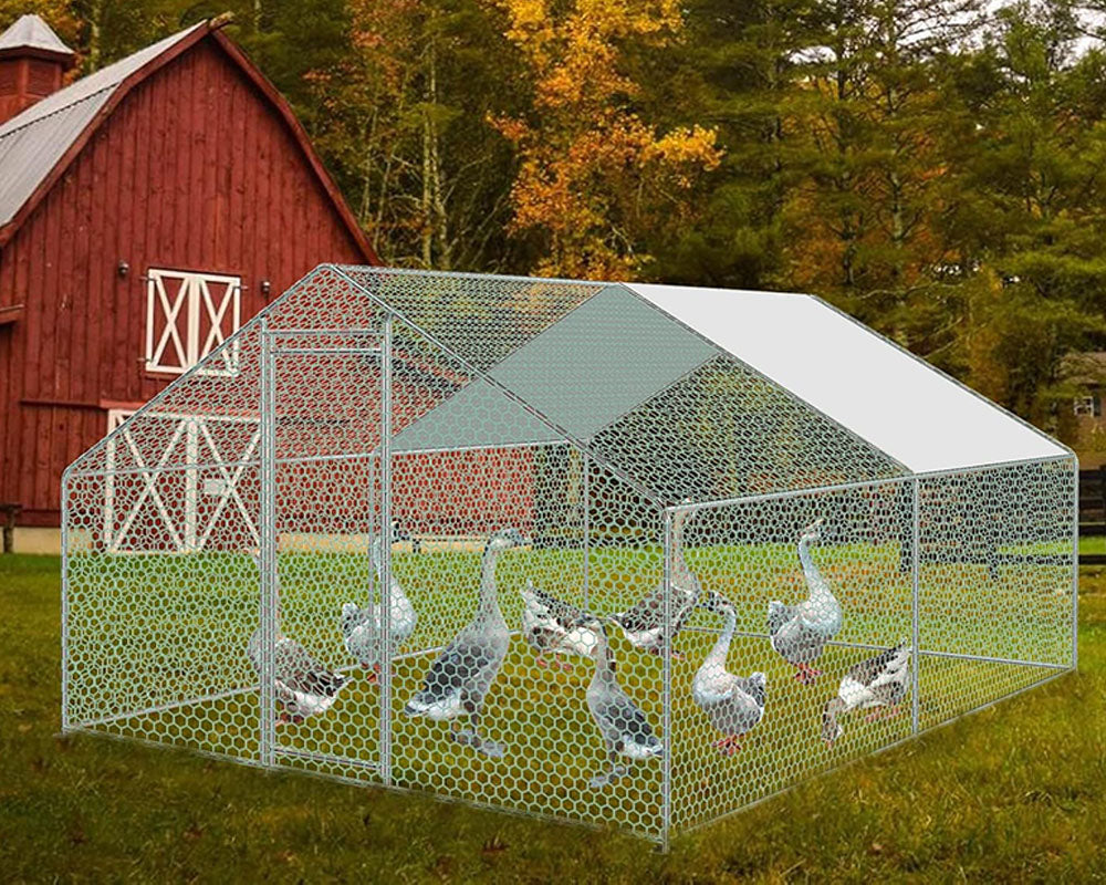 Outdoor Chicken Coop 4Mx3M