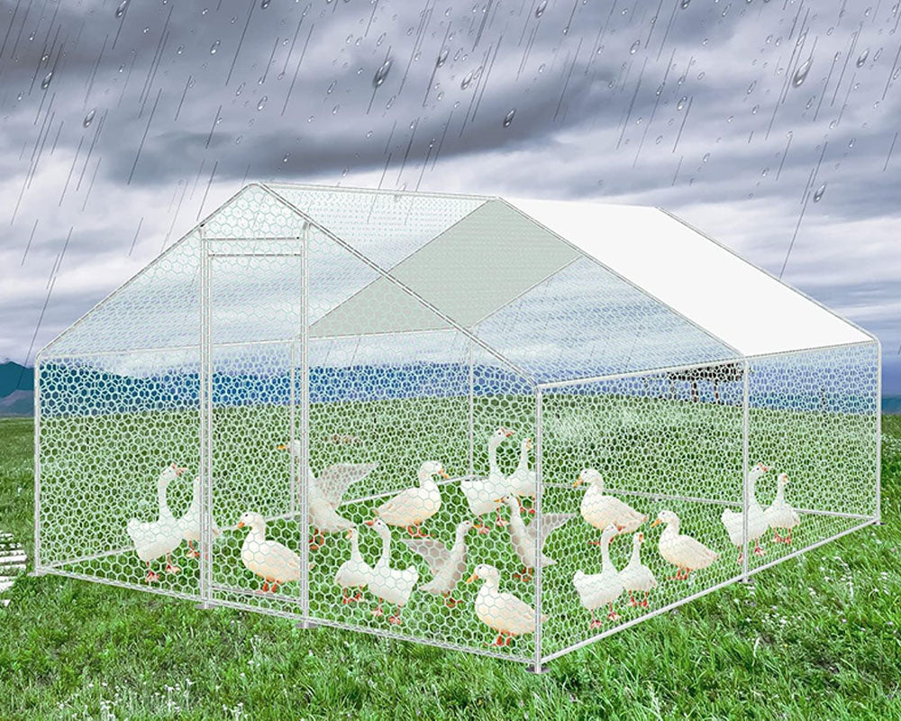 Outdoor Chicken Coop 4Mx3M