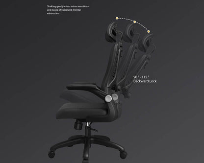 Ergonomic Office Chair