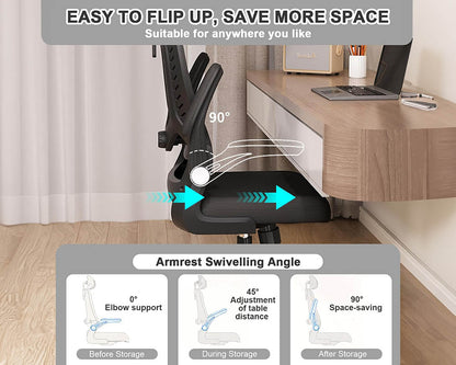 Ergonomic Office Chair
