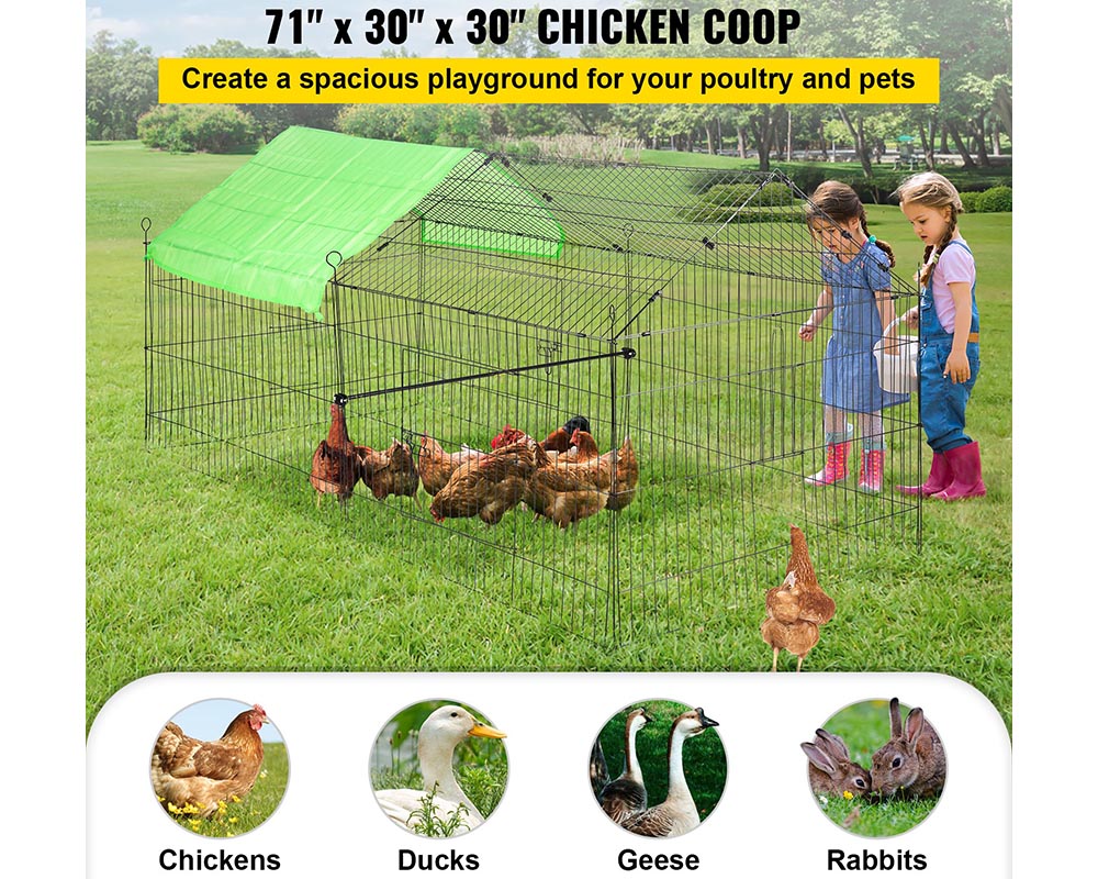 Outdoor Chicken Coop