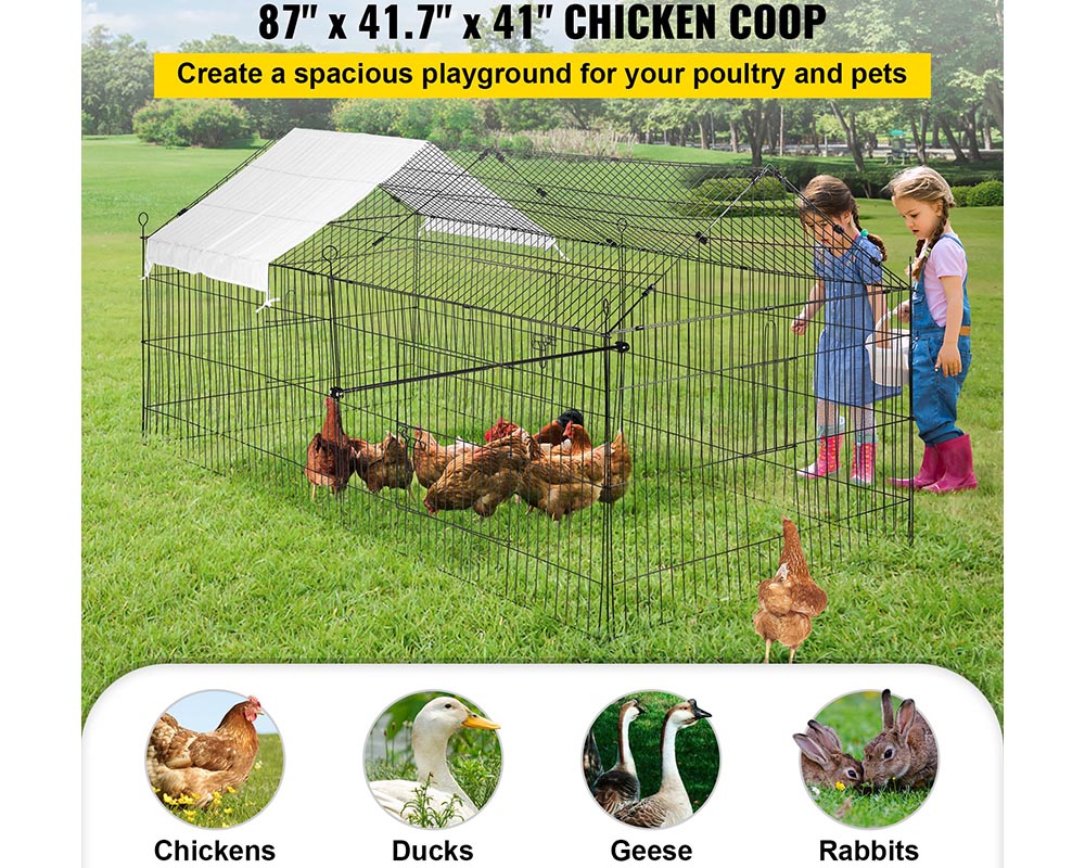 Outdoor Chicken Coop