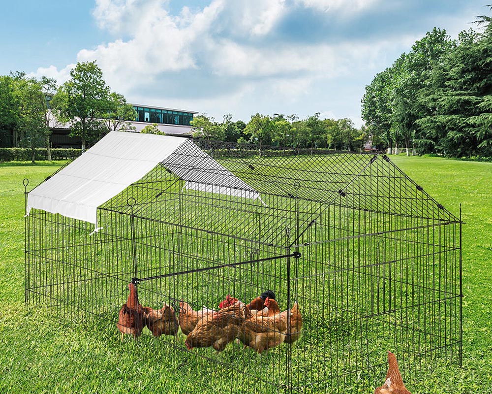 Outdoor Chicken Coop