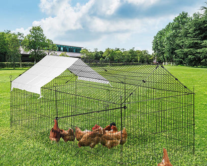 Outdoor Chicken Coop