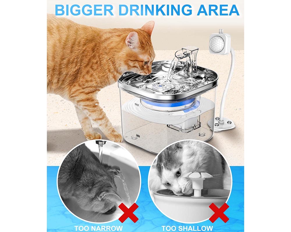 Pet water Drinking Fountain