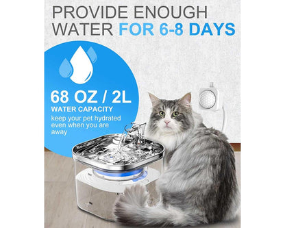 Pet water Drinking Fountain