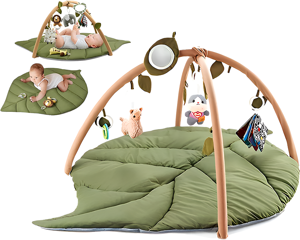 Baby Play Gym