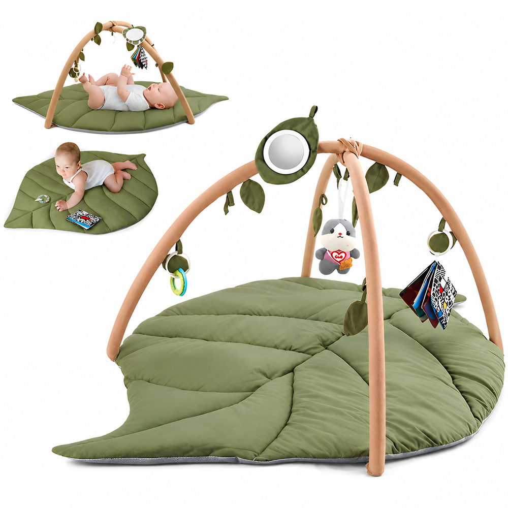Baby Play Gym