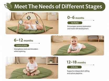 Baby Play Gym