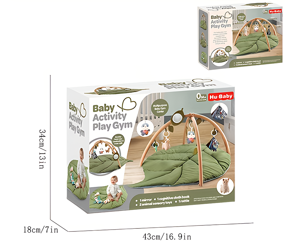 Baby Play Gym