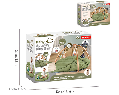Baby Play Gym