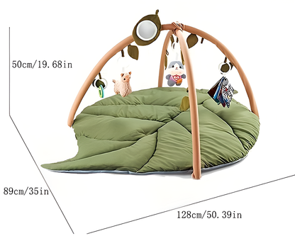 Baby Play Gym