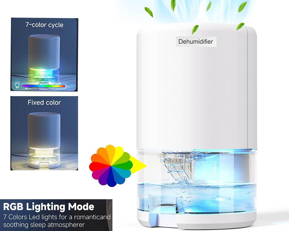 Portable Dehumidifier