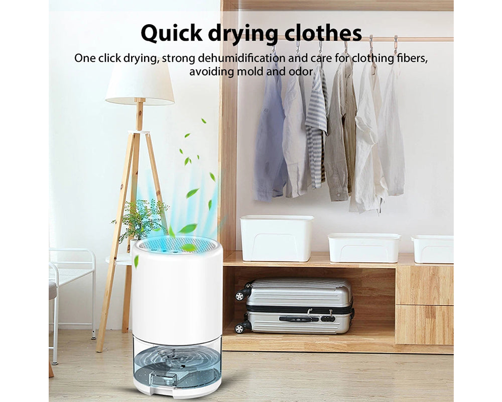 Portable Dehumidifier