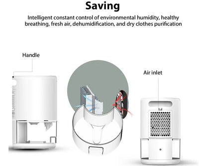 Portable Dehumidifier