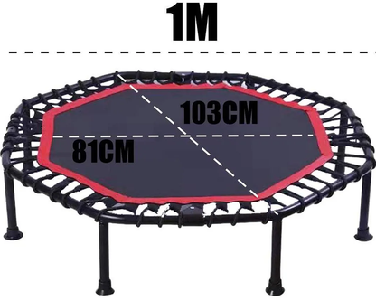 Trampoline Rebounder