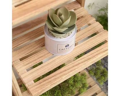 Flower Stand Plant Pot Rack