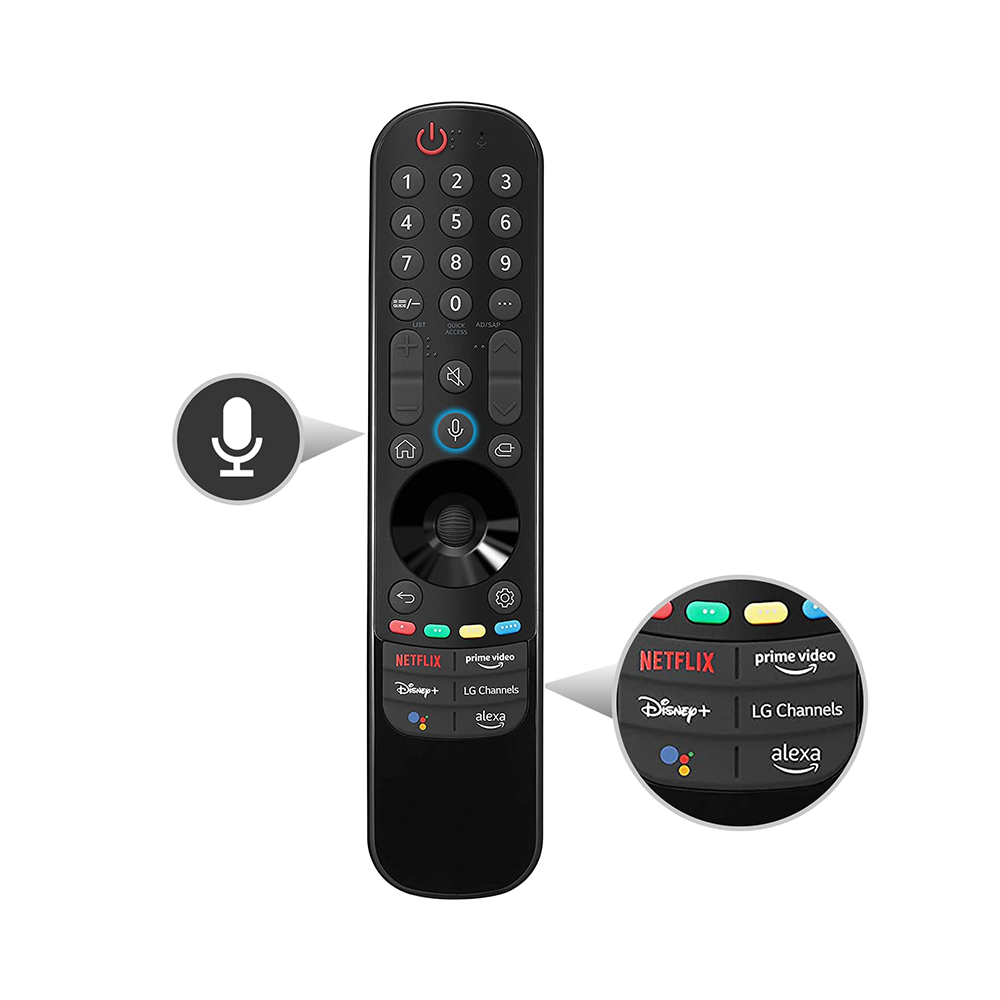 LG TV Magic Remote