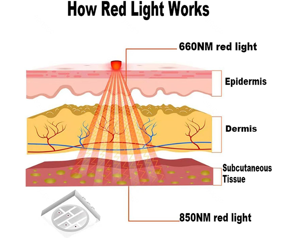 Red Light Therapy Wrap and Belt