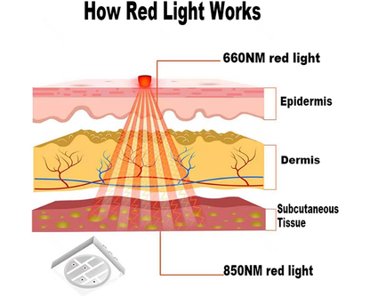 Red Light Therapy Wrap and Belt