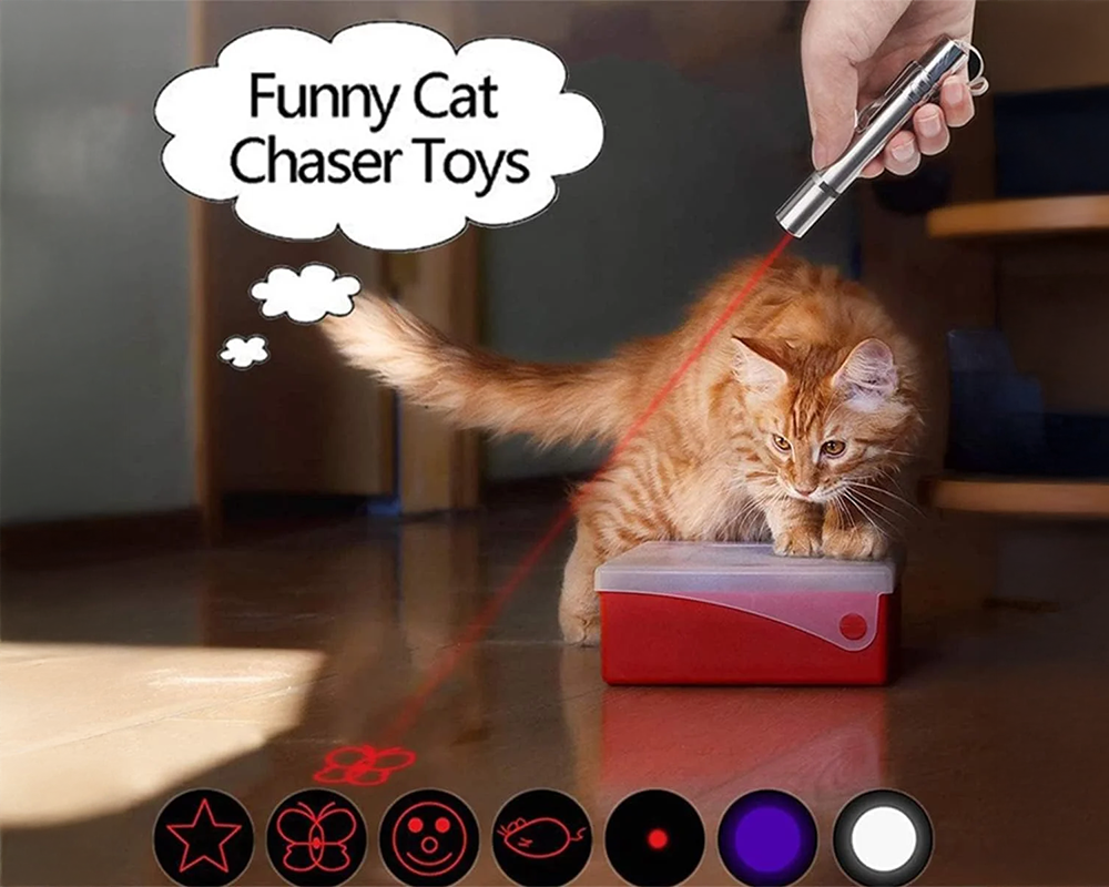 Rechargeable Laser Pointer Pet Toy