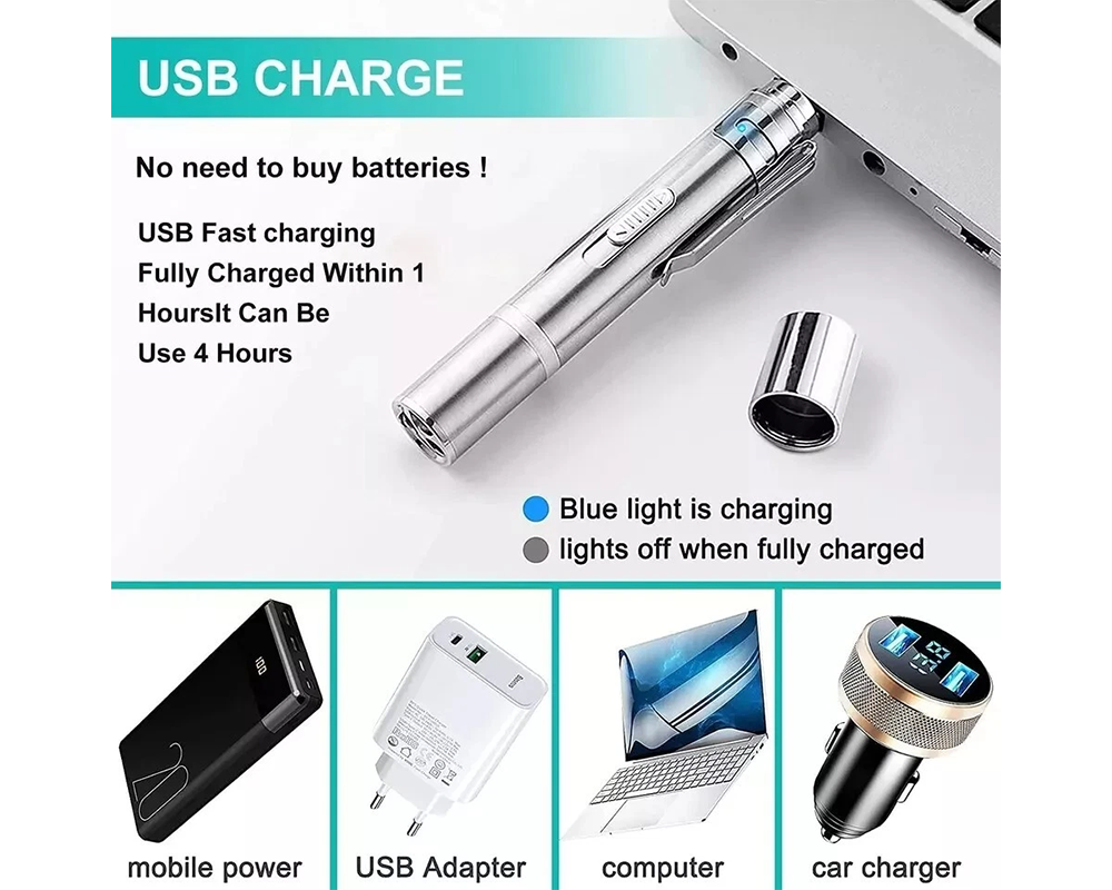 Rechargeable Laser Pointer Pet Toy