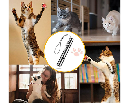 Rechargeable Laser Pointer Pet Toy