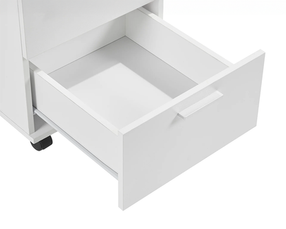 Office Filing Cabinet with Wheels File Organiser
