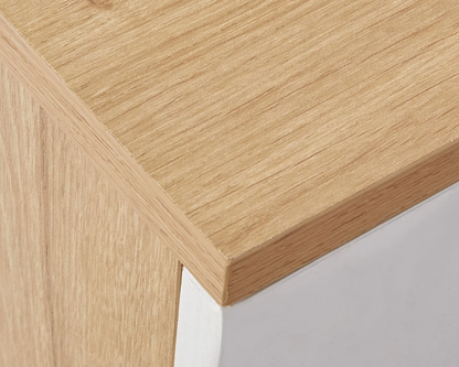 Office Filing Cabinet with Wheels File Organizer