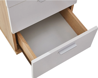 Office Filing Cabinet with Wheels File Organizer