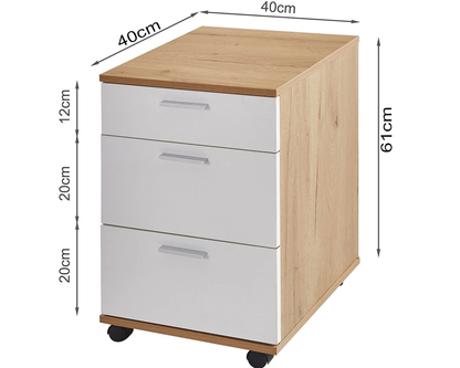 Office Filing Cabinet with Wheels File Organizer