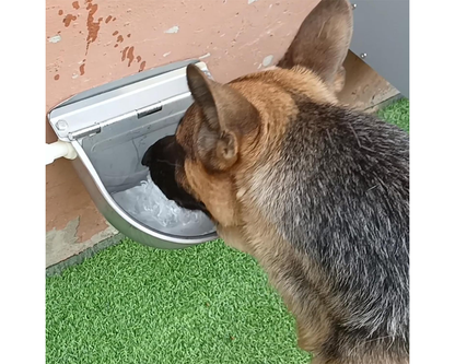 Water bowl for goats