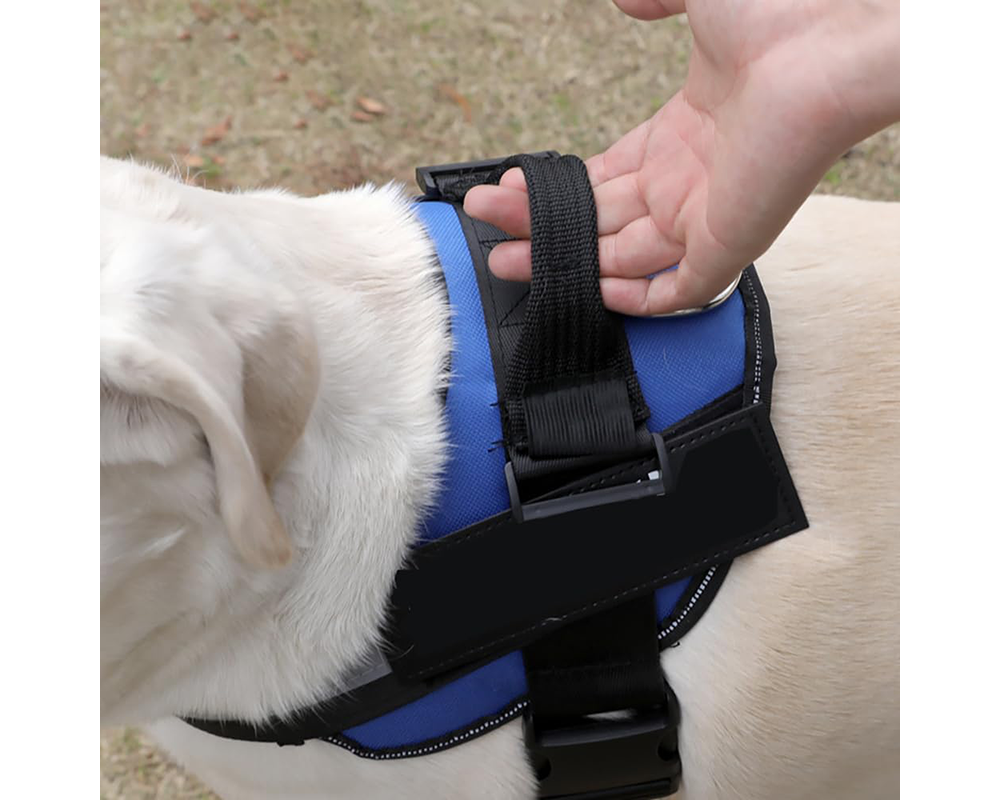 Dog harness with safety straps