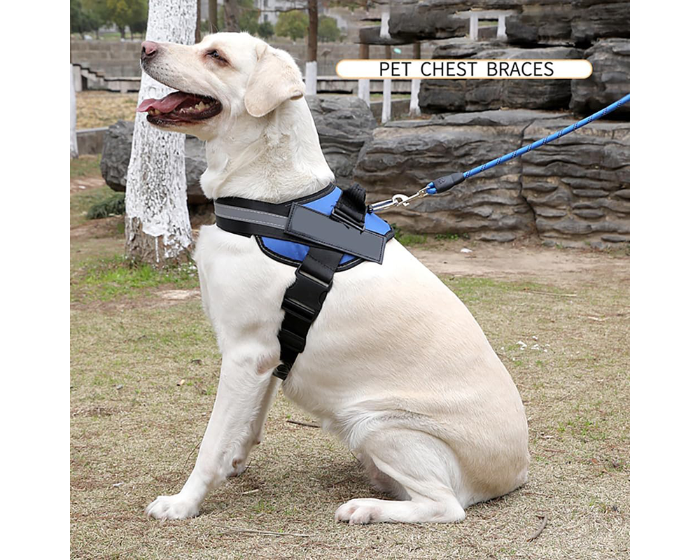No pull training harness