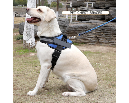 No pull training harness
