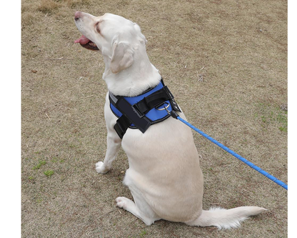 Breathable mesh dog vest