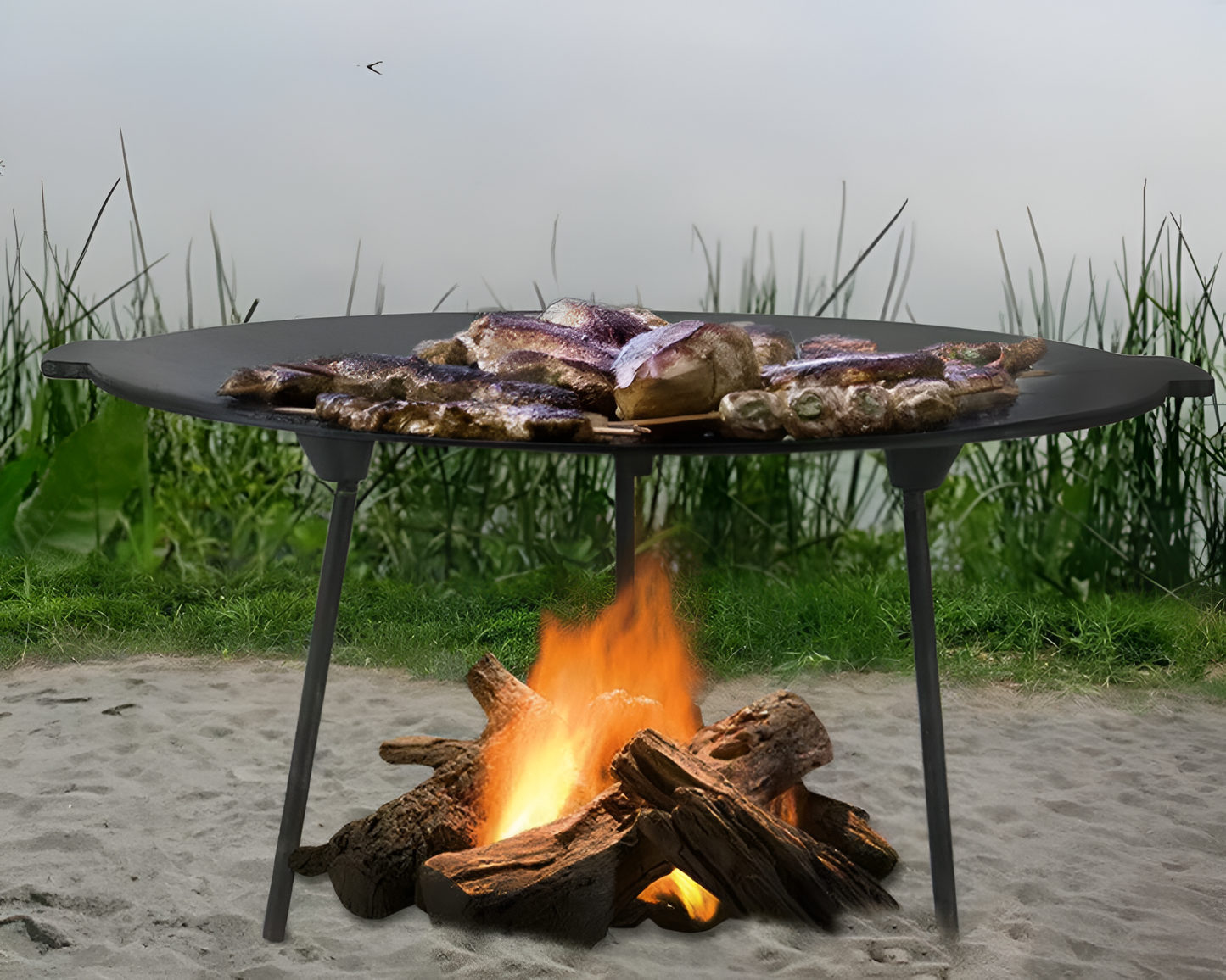 Outdoor Camping Barbecue Rack Cast Iron Grill Pan