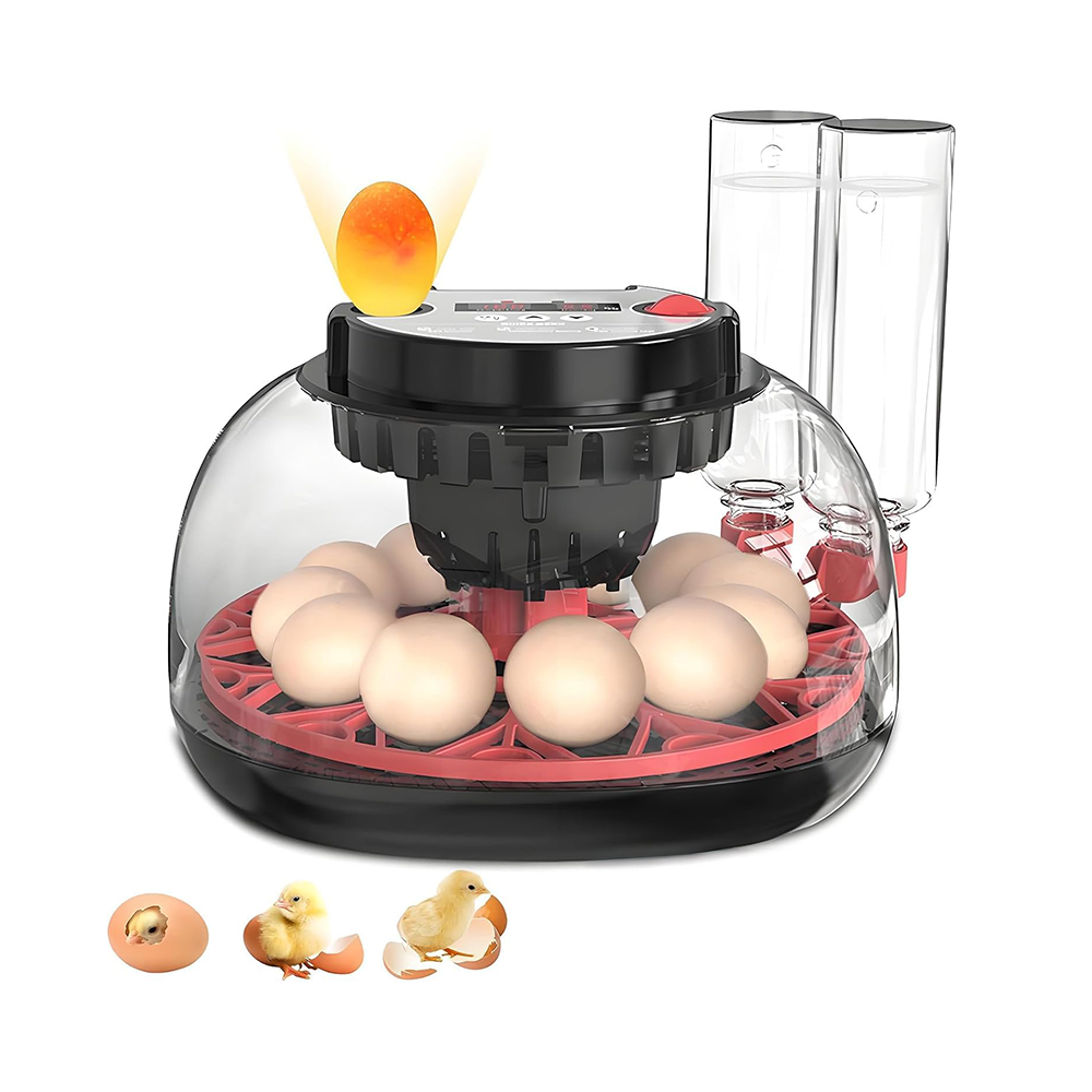 12 eggs incubator front view