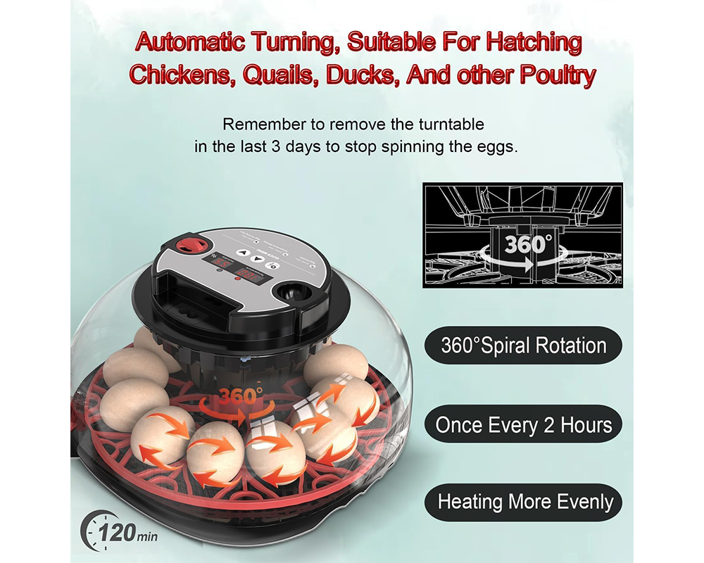 transparent incubator cover
