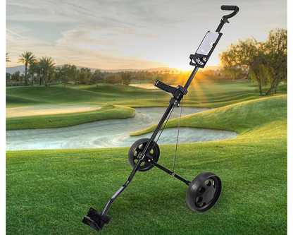 Two wheel golf trolley