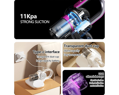Transparent dust cup vacuum