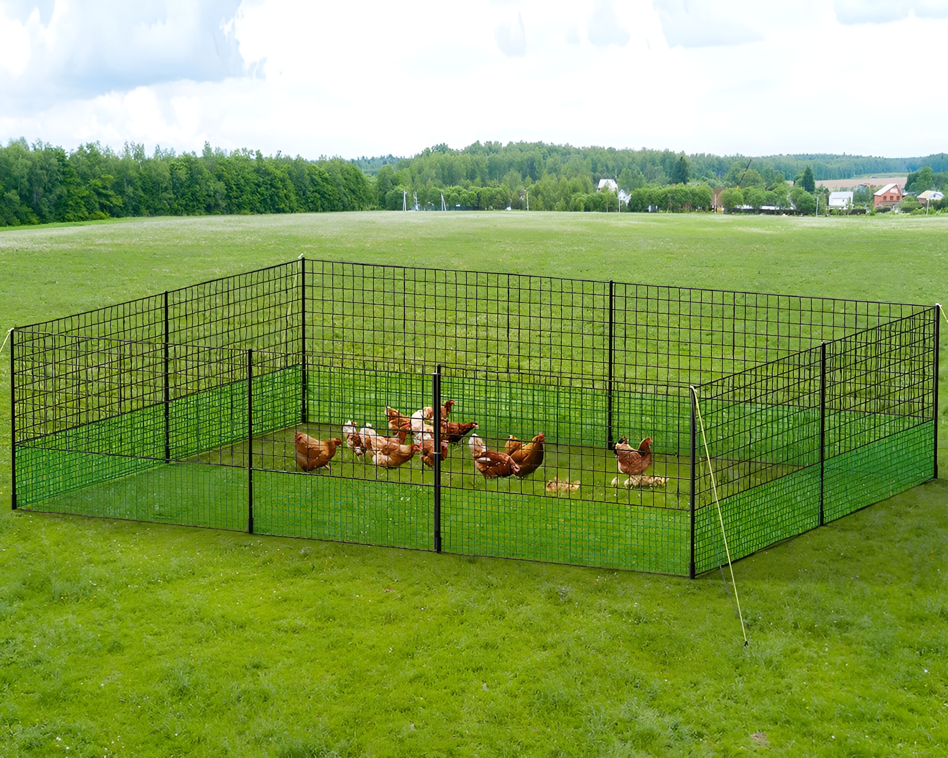 chicken netting fence