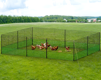 chicken netting fence