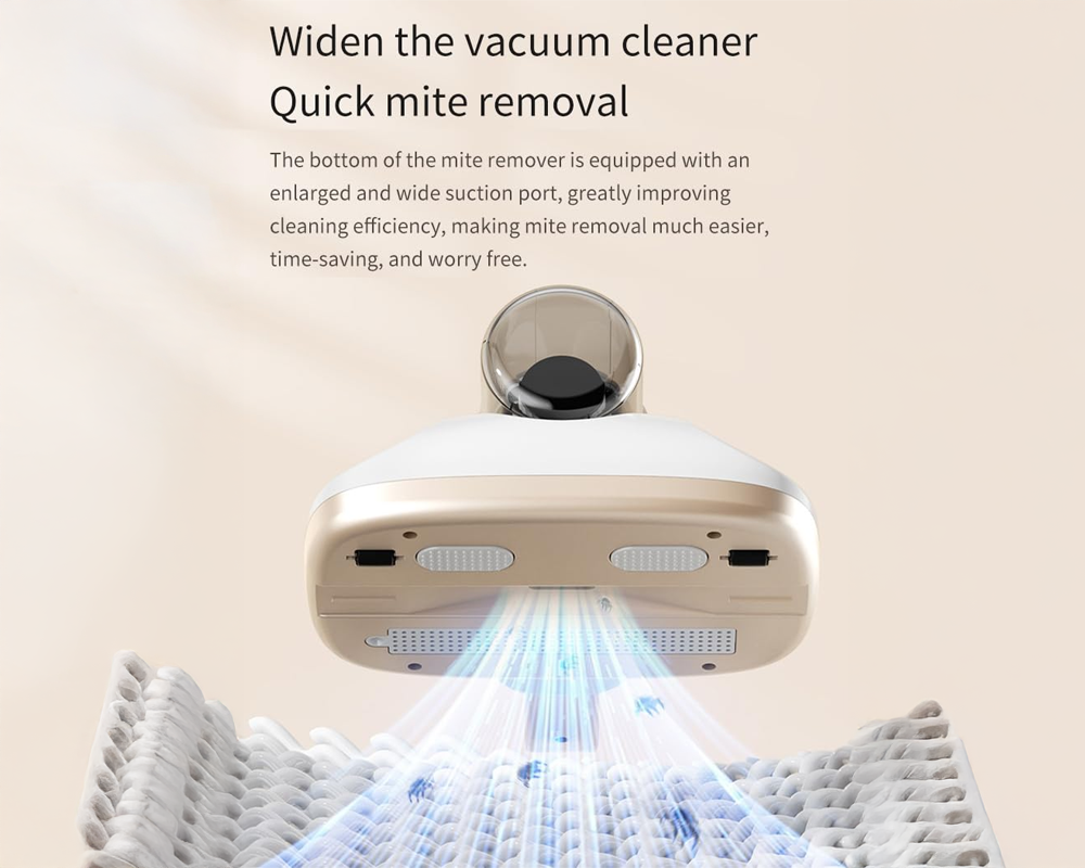 Transparent dust cup vacuum