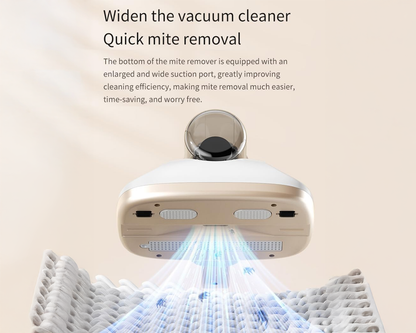 Transparent dust cup vacuum
