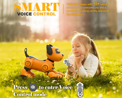 wireless remote control dog