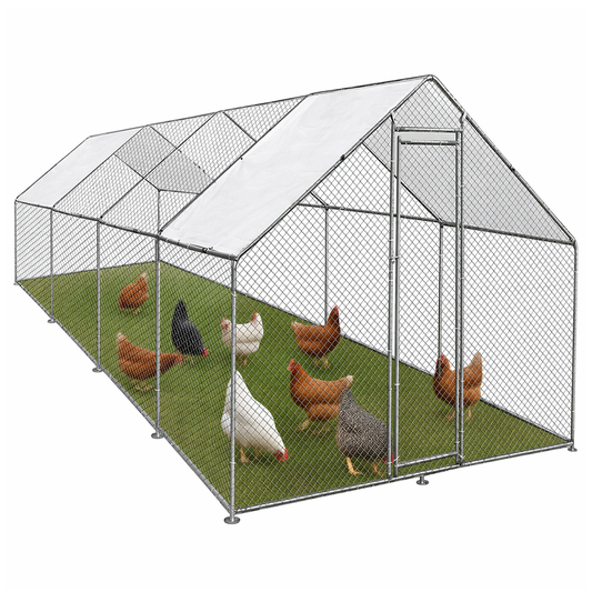 Outdoor Chicken Coop 8Mx3Mx2M