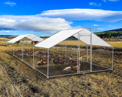 Outdoor Chicken Coop 8Mx3Mx2M