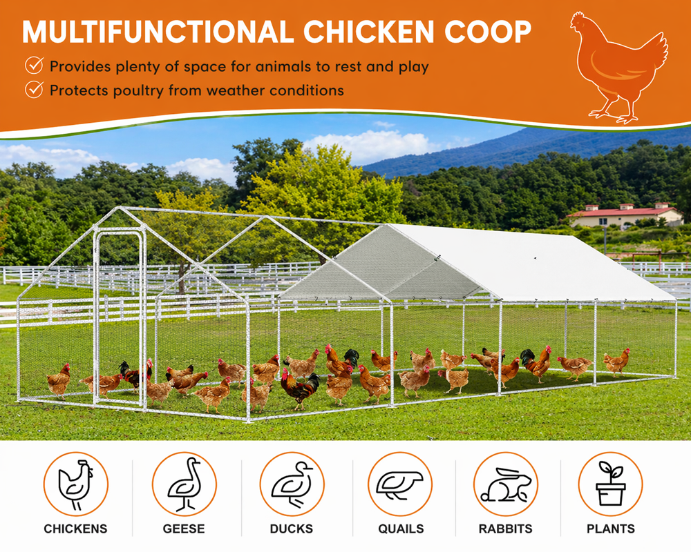Outdoor Chicken Coop 8Mx3Mx2M